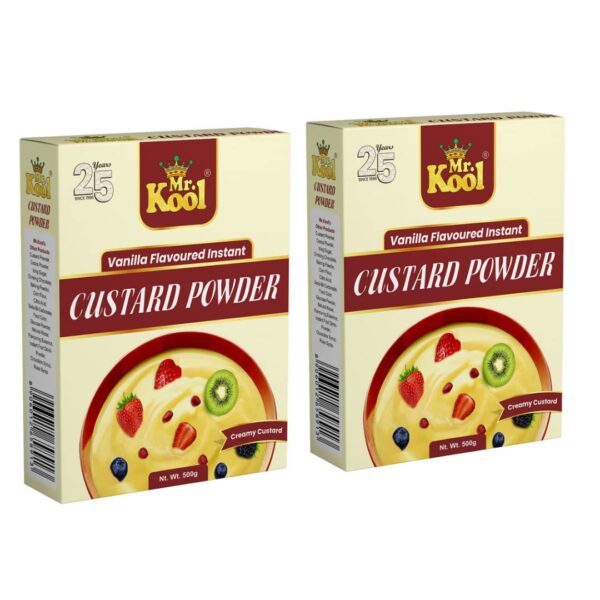 Mr. Kool Custard Powder Box 500 Gm X 2 Pack